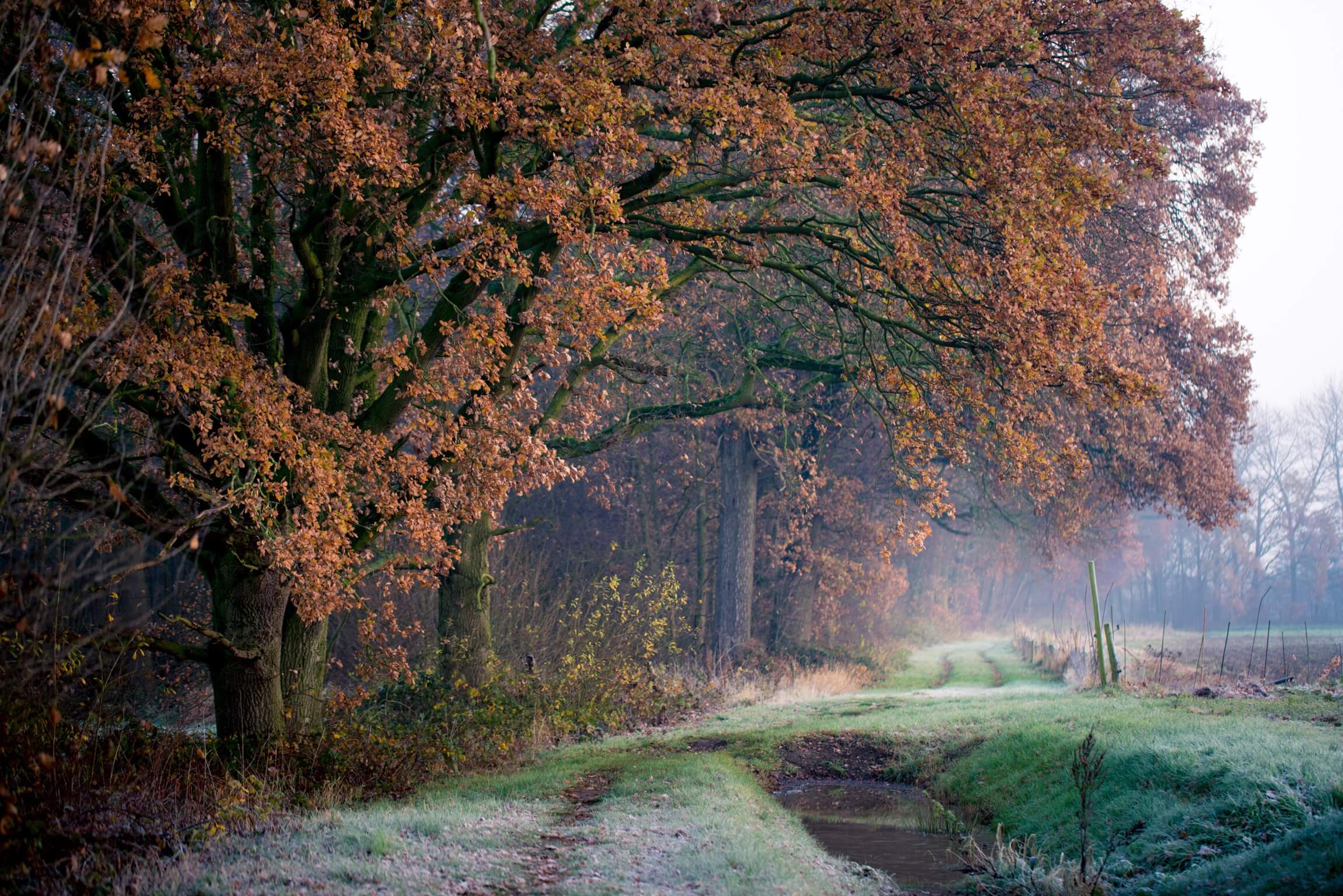 Beter gevonden worden op Youtube